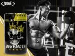 REAL PHARM Behemoth Pre-Workout 500g - obrazek 2