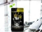 REAL PHARM Behemoth Pre-Workout 500g - obrazek 3