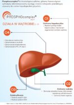 Aliness Liver Regeneration Complex x 90 kaps - obrazek 3